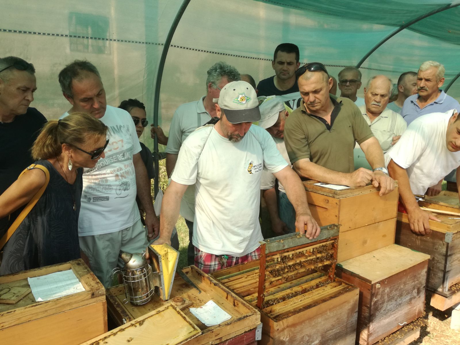 Gruppo di apicoltori che guarda senza maschera un alveare di ligustica
